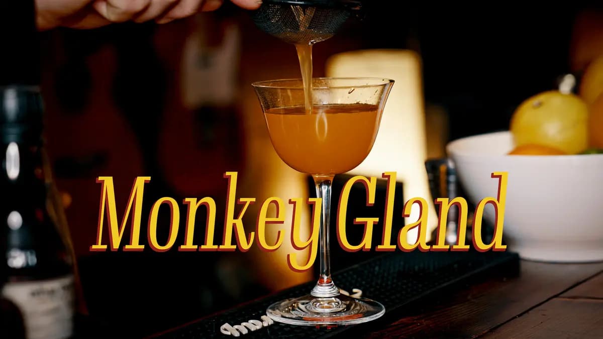 Monkey Gland Cocktail Klassisk Oppskrift og Historie